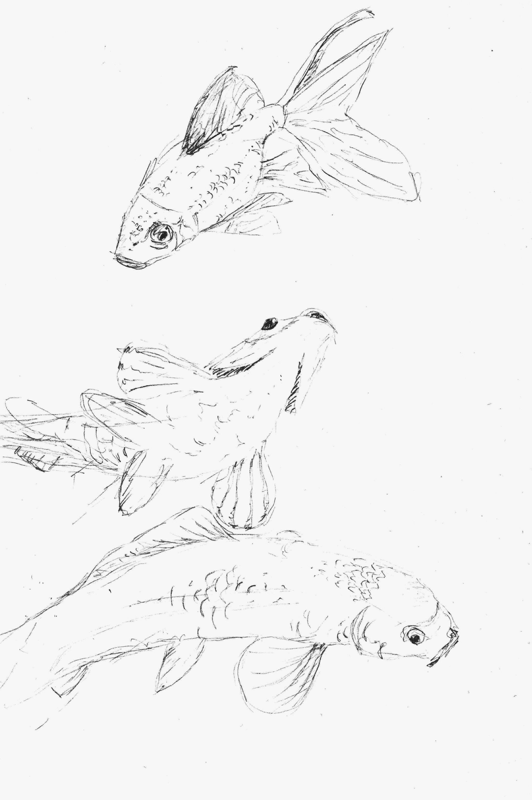 Skizze Fische 3
